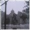 1107 - Touching from a distance, P.S.H 1994 summer